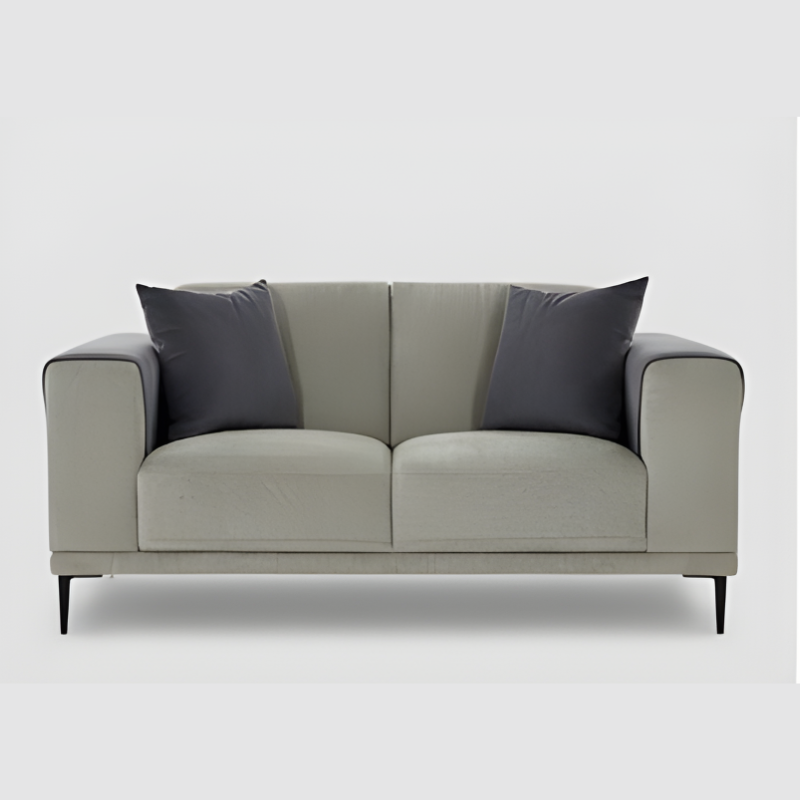 France 2-Seater Sofa